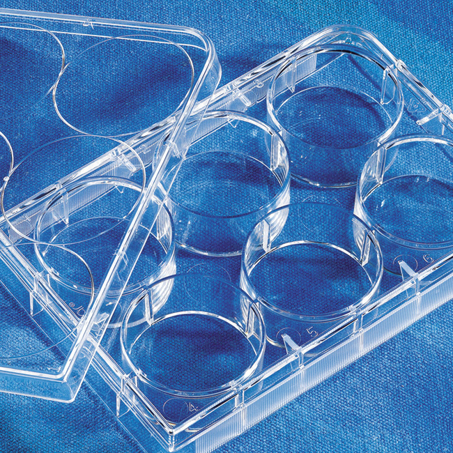 6-well Clear TC-treated Multiple Well Plates,
