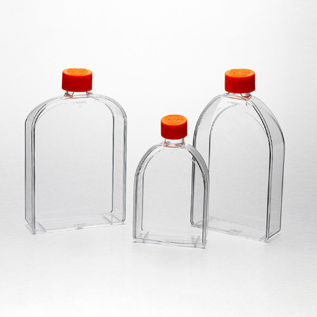 Corning／430825/150cm² Cell Cultur Flask